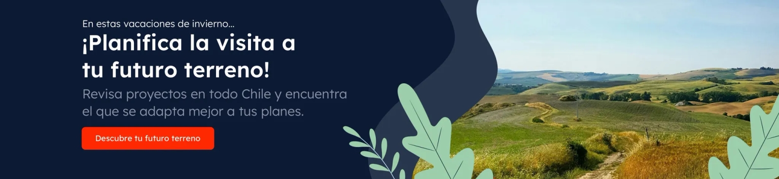 Proyectos