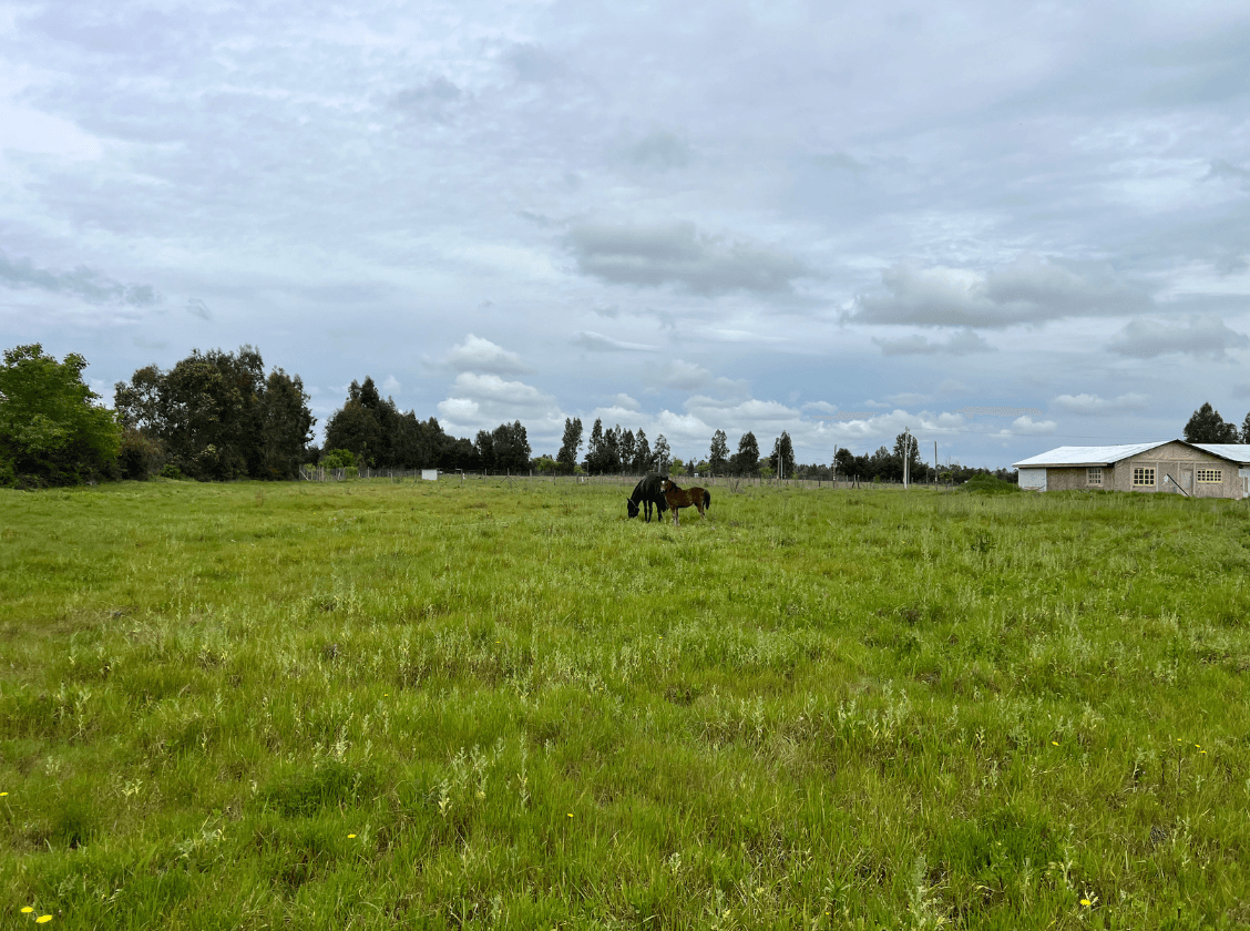 HH2M+QQ Pelarco, Chile
