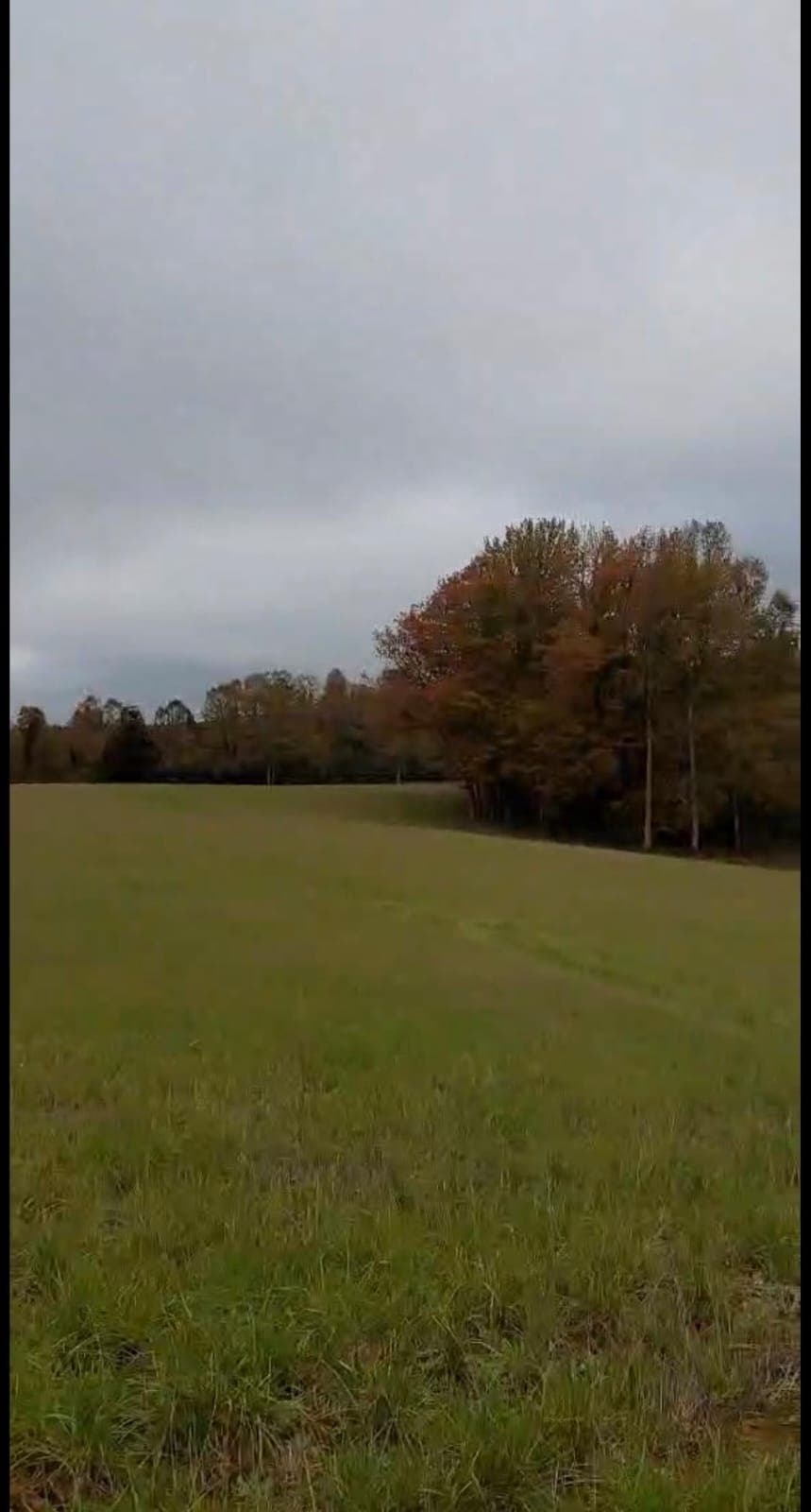 XPF6+J9, Frutillar, Los Lagos, Chile