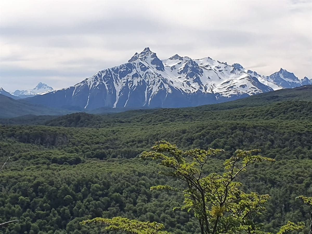 Campo Lago Norte, Coyhaique