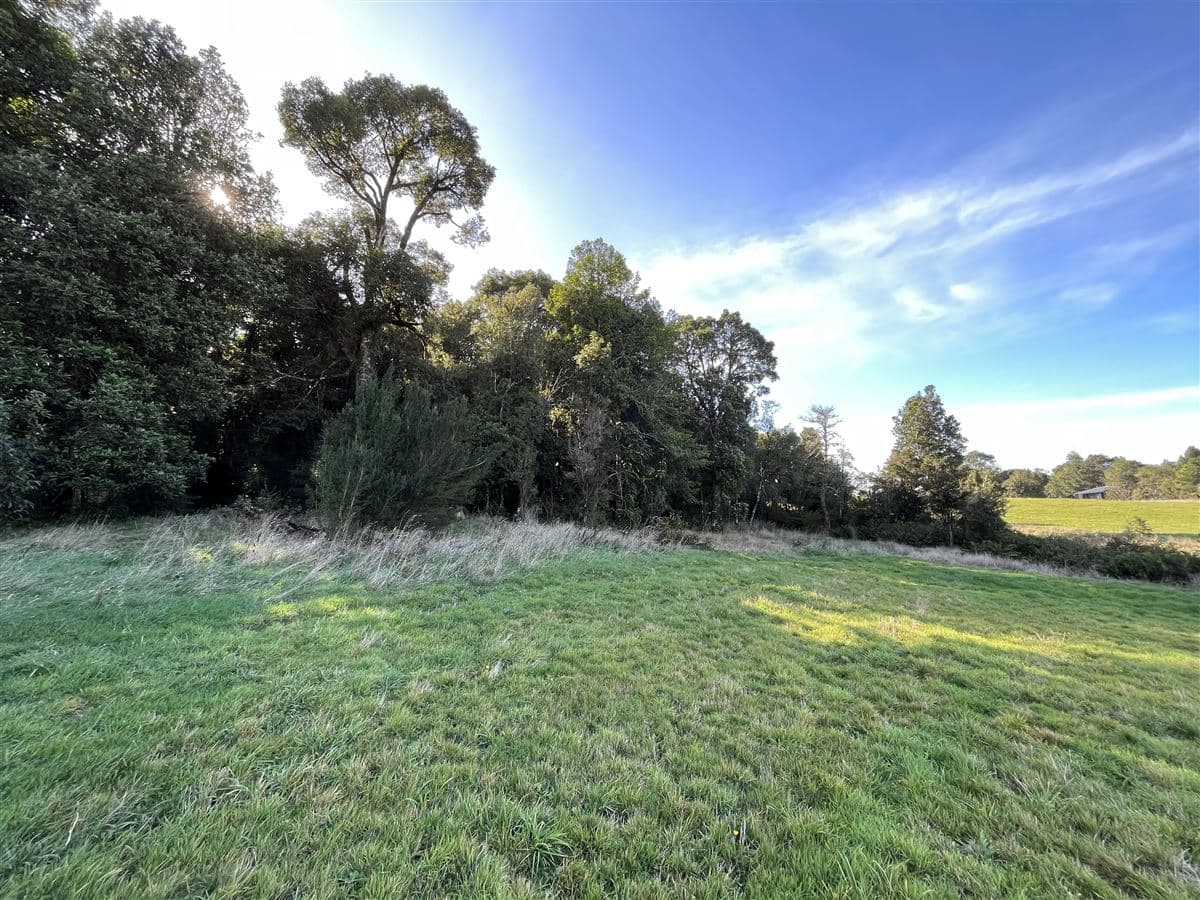 Las Tranqueras Puerto Varas camino a Ensenada