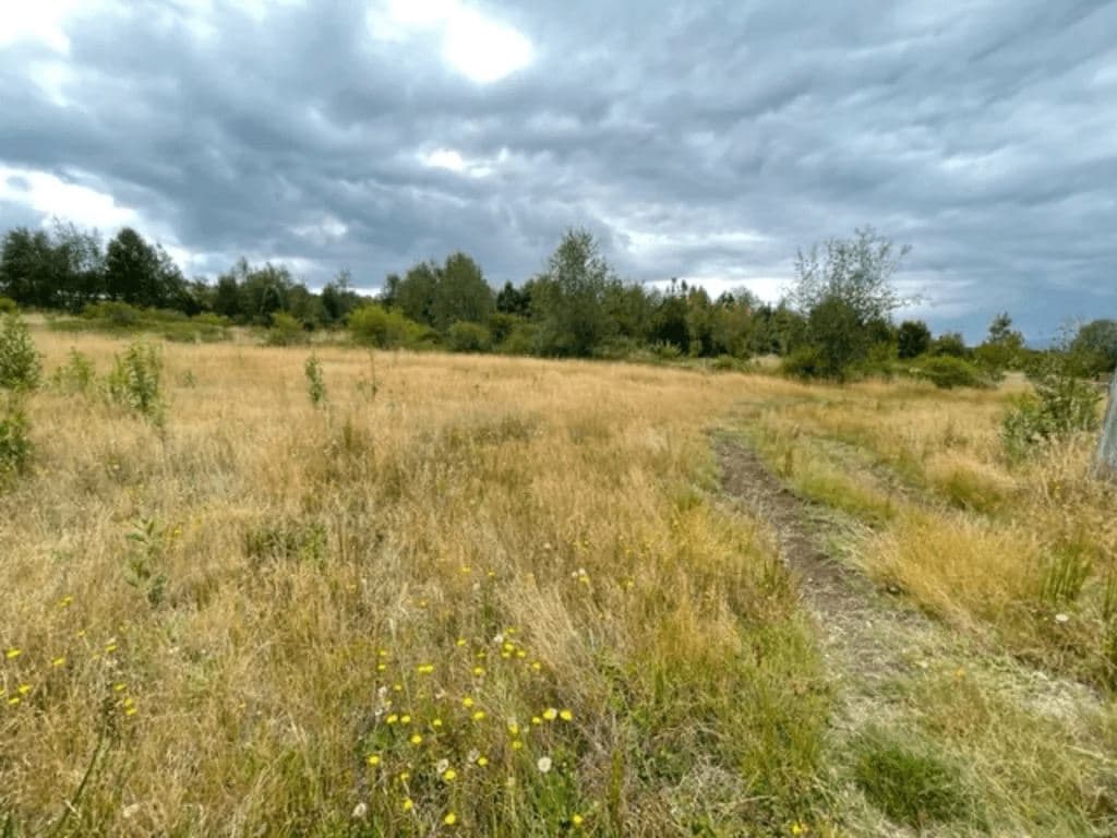 condominio campos de neo Alerce