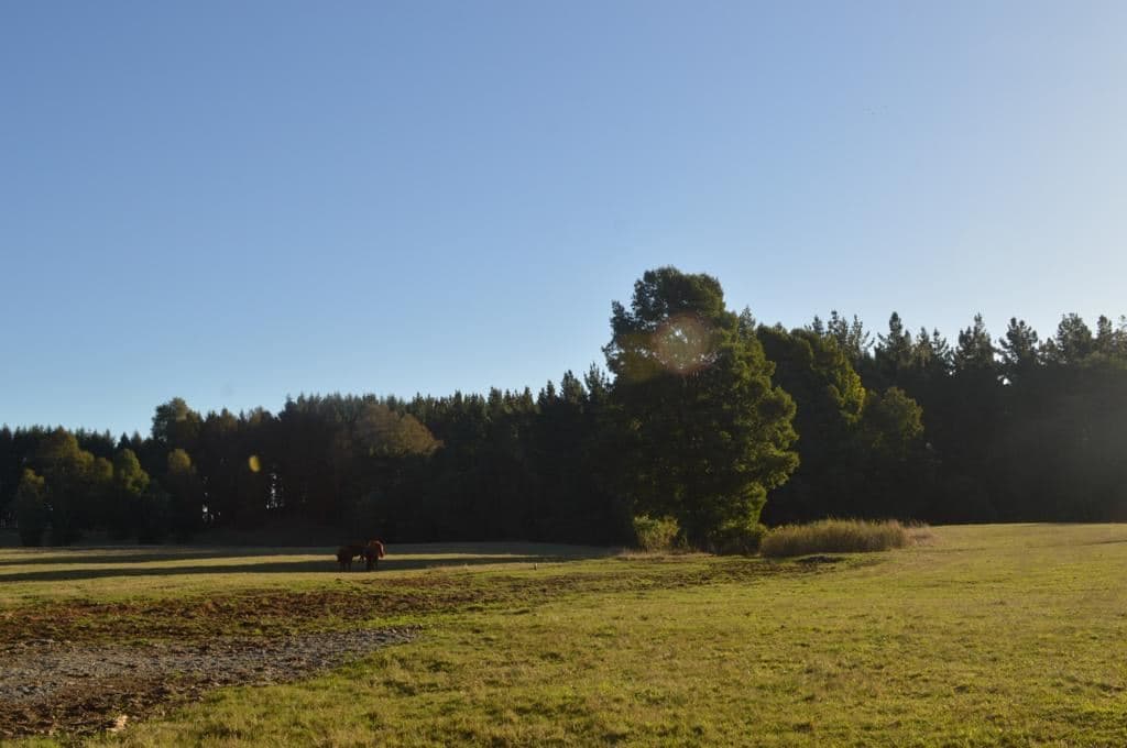 Camino segunda faja km 3.4