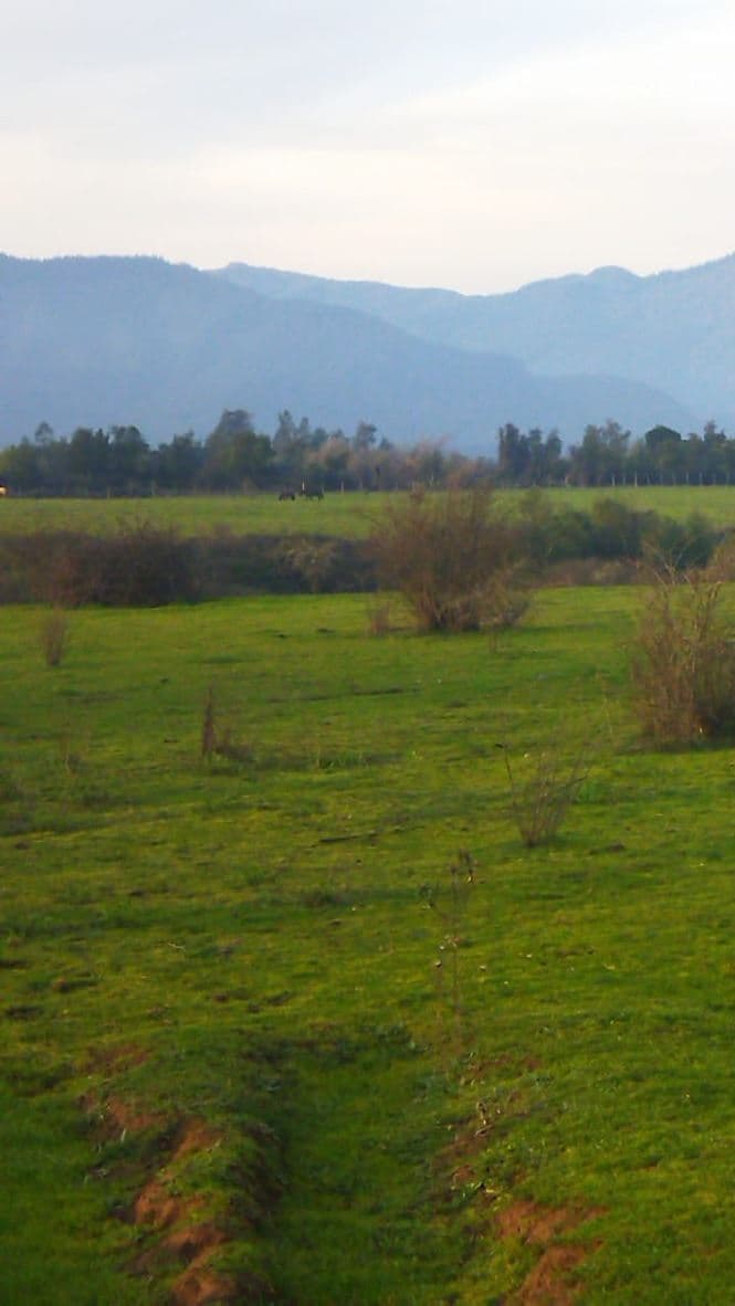 sector del roble comuna de san clemente
