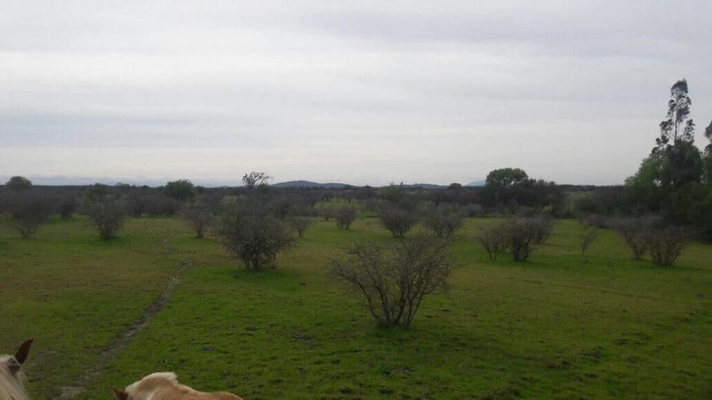 Cerca de villa Don Ambrosio y Hospital de san javier