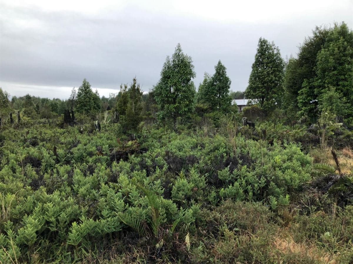 Camino a la Colonia, km 11,5, Metrenquen, Puerto Montt