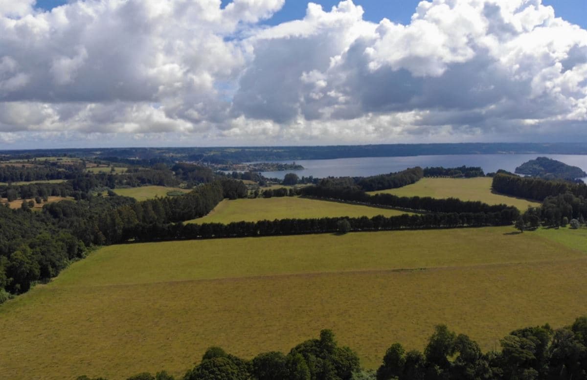 Campo Puerto Octay, Lago Llanquihue