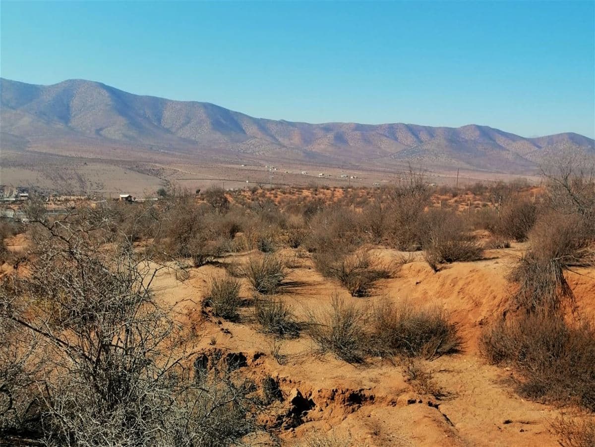 Sector Higueritas Unidas