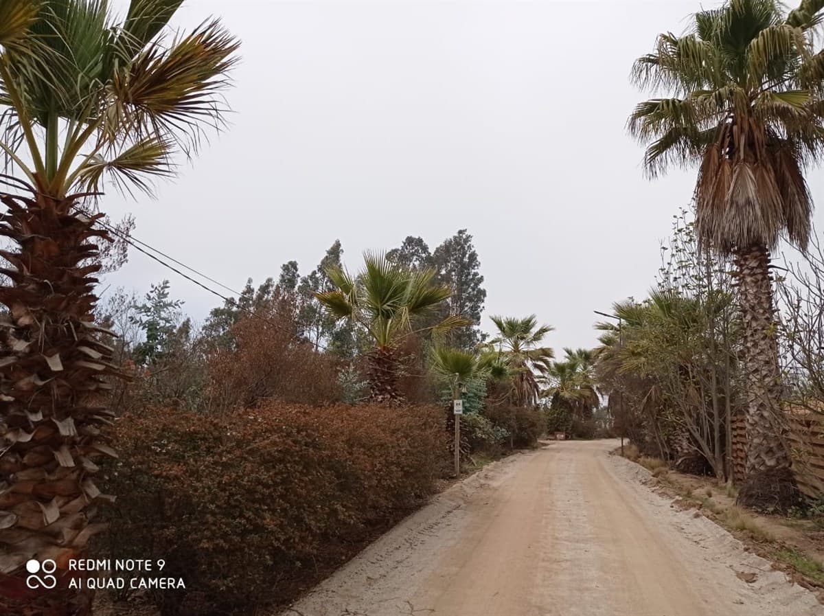 RUTA F 40 callejon las gaviotas mantagua