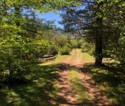 Campo "DOÑA LUCÍA", Llanada Grande, Segundo Corral