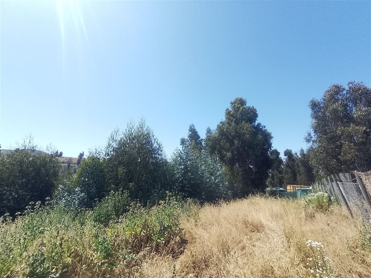 ruta F240 FUNDO LAS GAVIOTAS