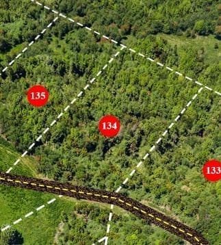 Camino W-25 Antoni - Palomar