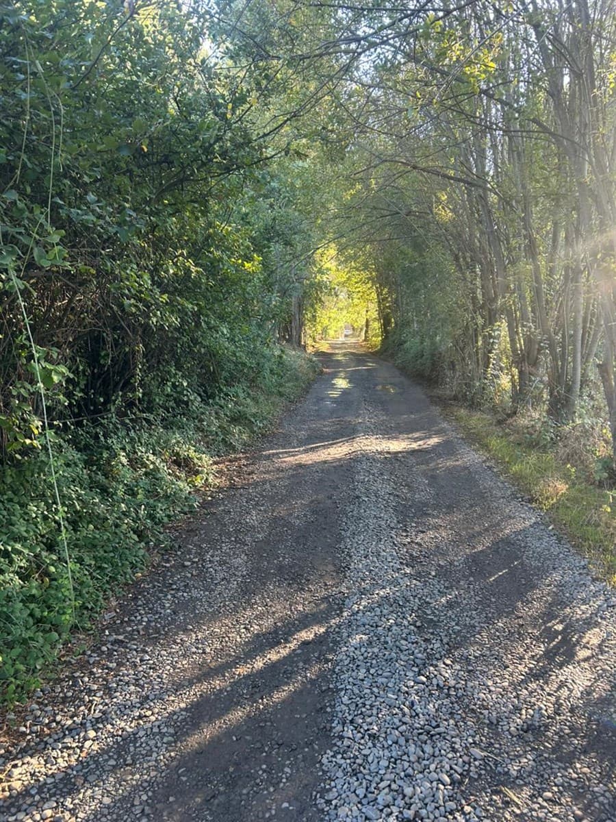 Sector San Ricardo - San Rafael