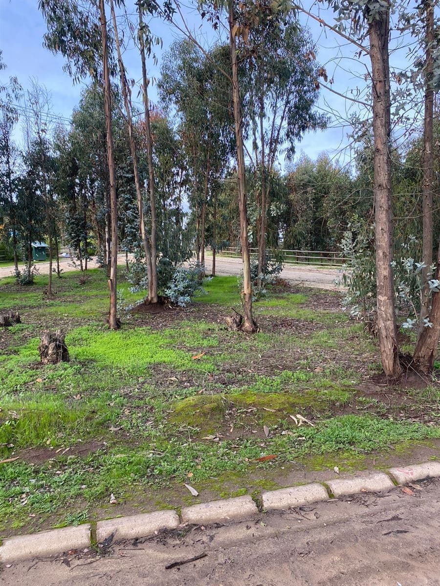 RUTA F 30 - E alt 12200 Mantagua