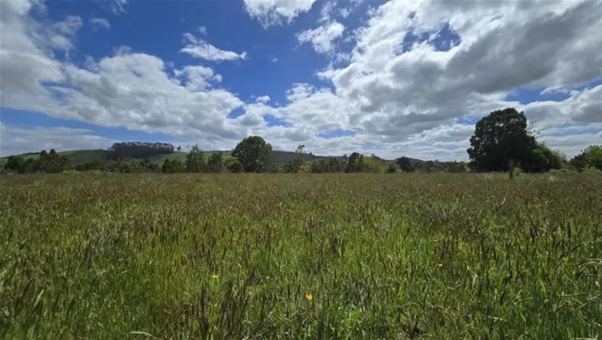 Pichilaguna, Llanquihue