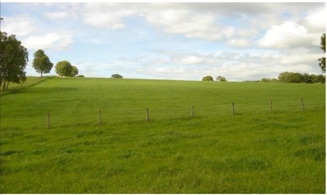 Fundo "DOS ESTEROS", Camino San Carlos, Los Muermos
