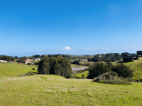 Camino Viejo a Punta de Lobos