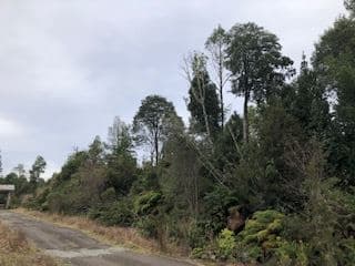 Camino a la Colonia Ruta V-615, km 11,3, Puerto Montt