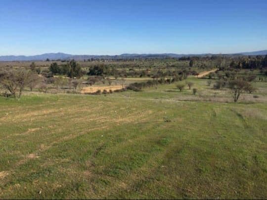 -34.350281,-71.625731