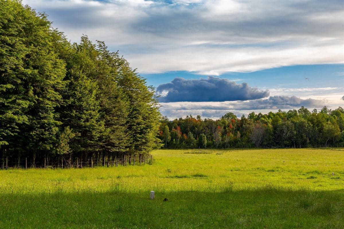 Camino segunda faja km 3.4