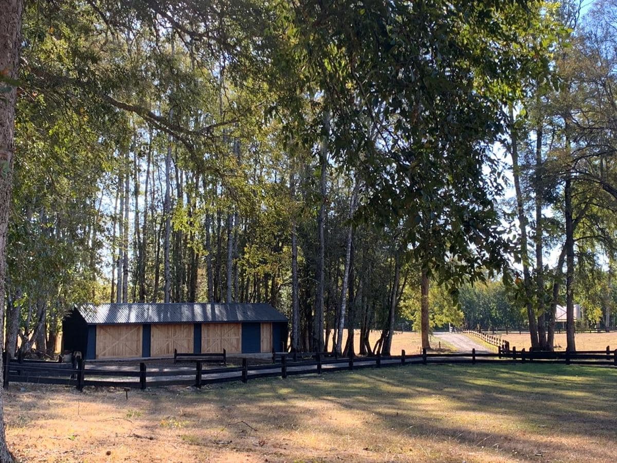 Camino villarrica - loncohe 