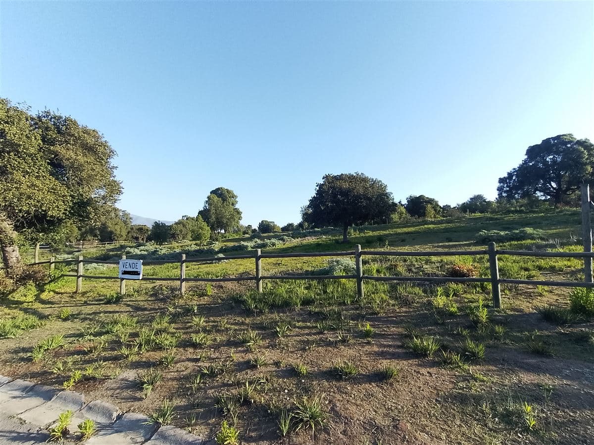 ruta f 216 valle alegre