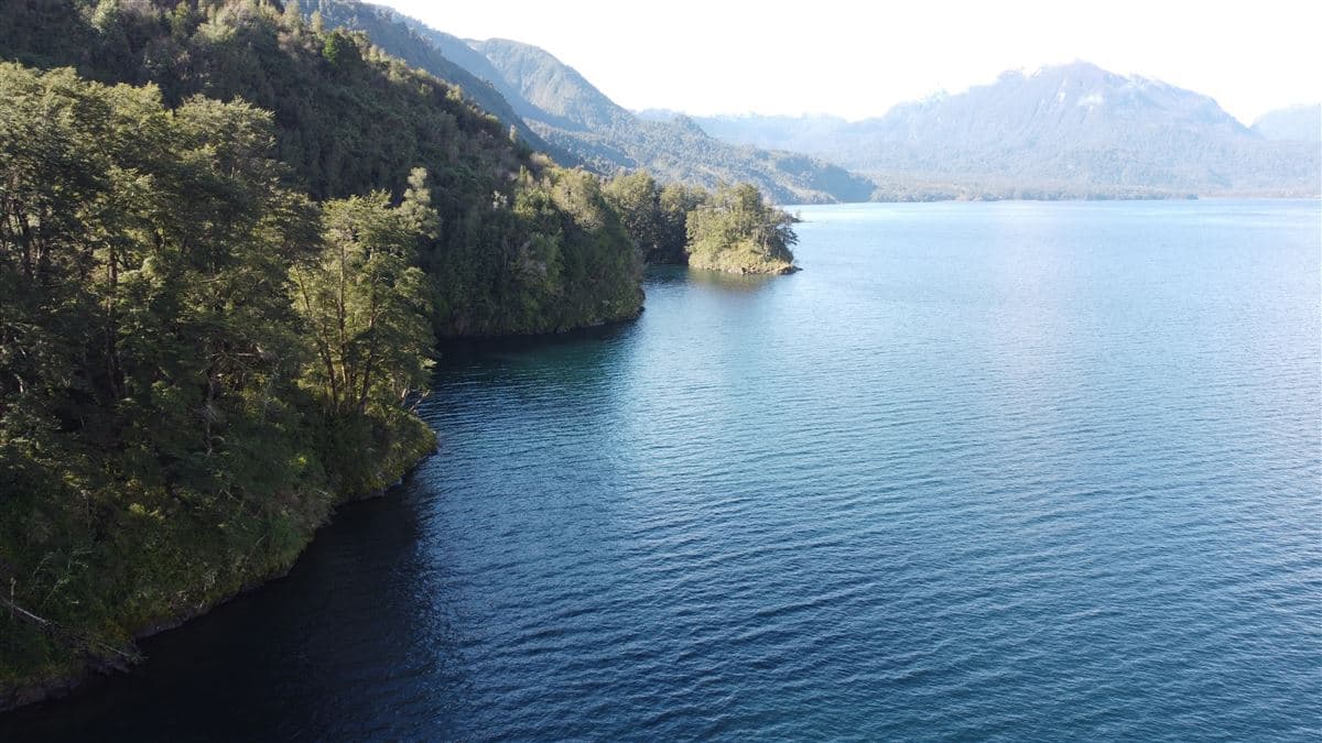 Puyehue 