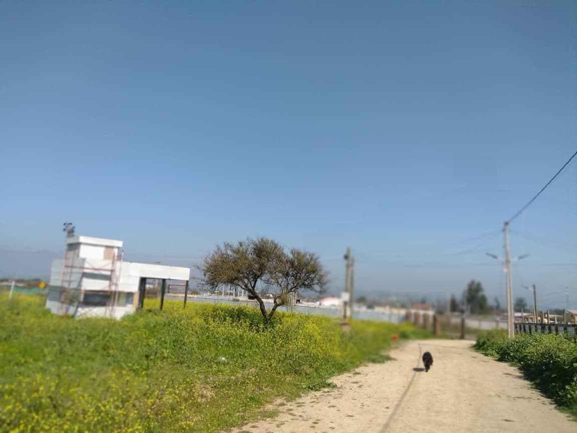 avenida los laureles 147