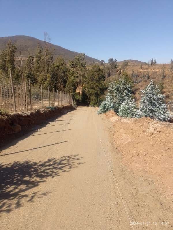 ruta F240 FUNDO LAS GAVIOTAS