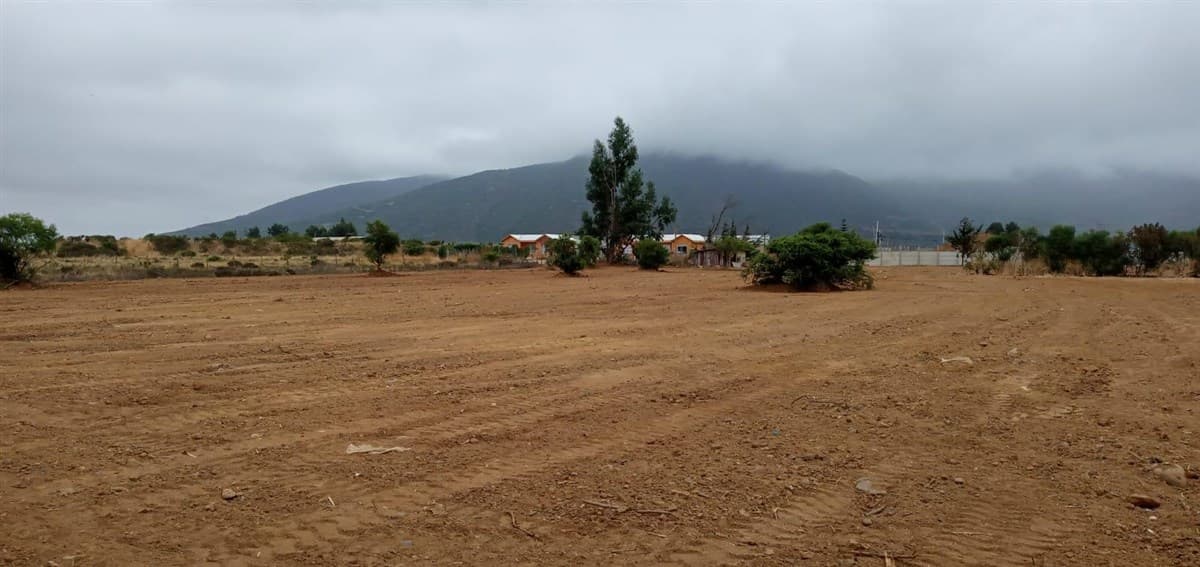 ferreteria higuerilla