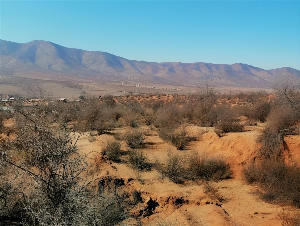 Sector Higueritas Unidas