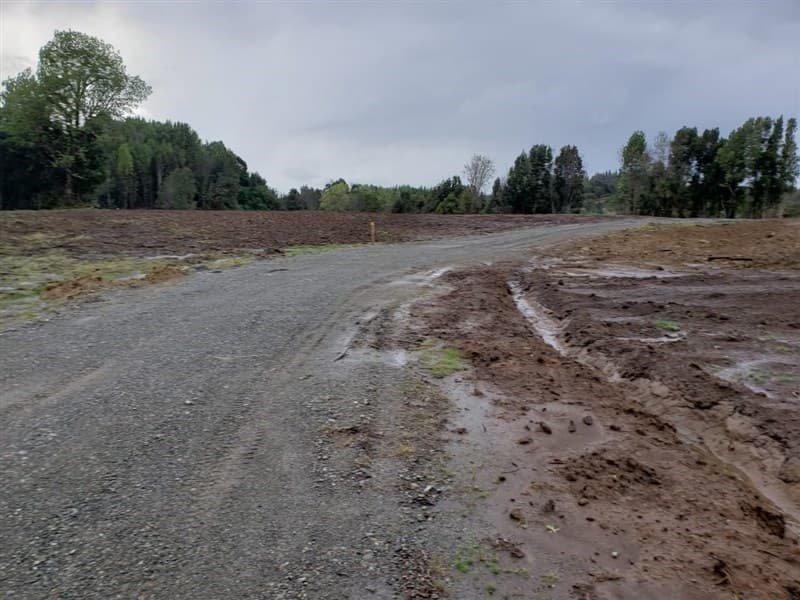 Camino W-25 Antoni - Palomar