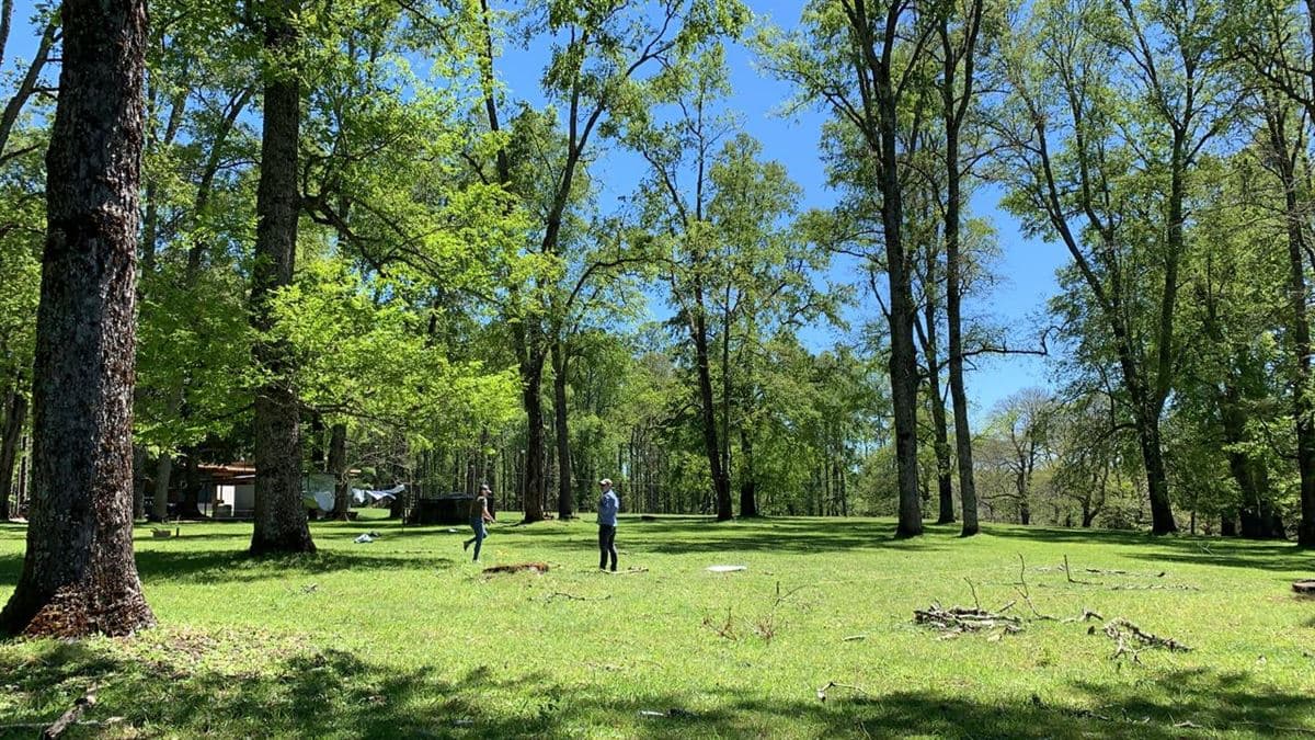 Camino villarrica - loncohe 