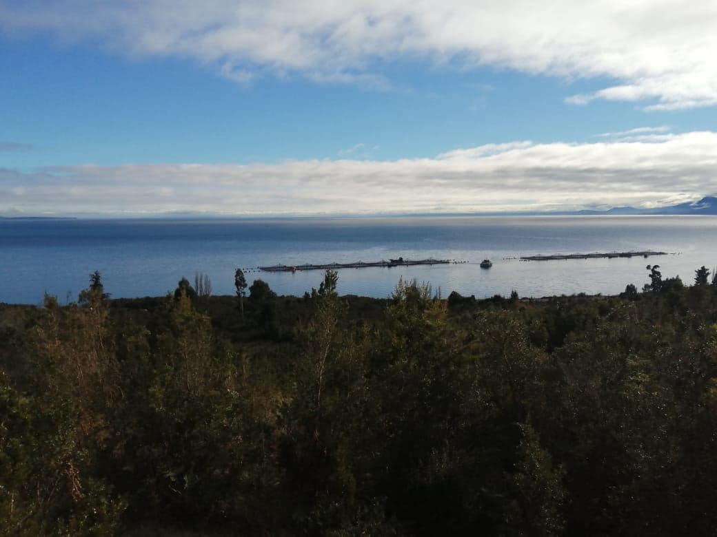 Campo Doña Ester, Carr. Austral, Contao, Hualaihué, Los Lagos