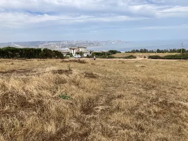 Camino la Hondanada con Campus del Mar