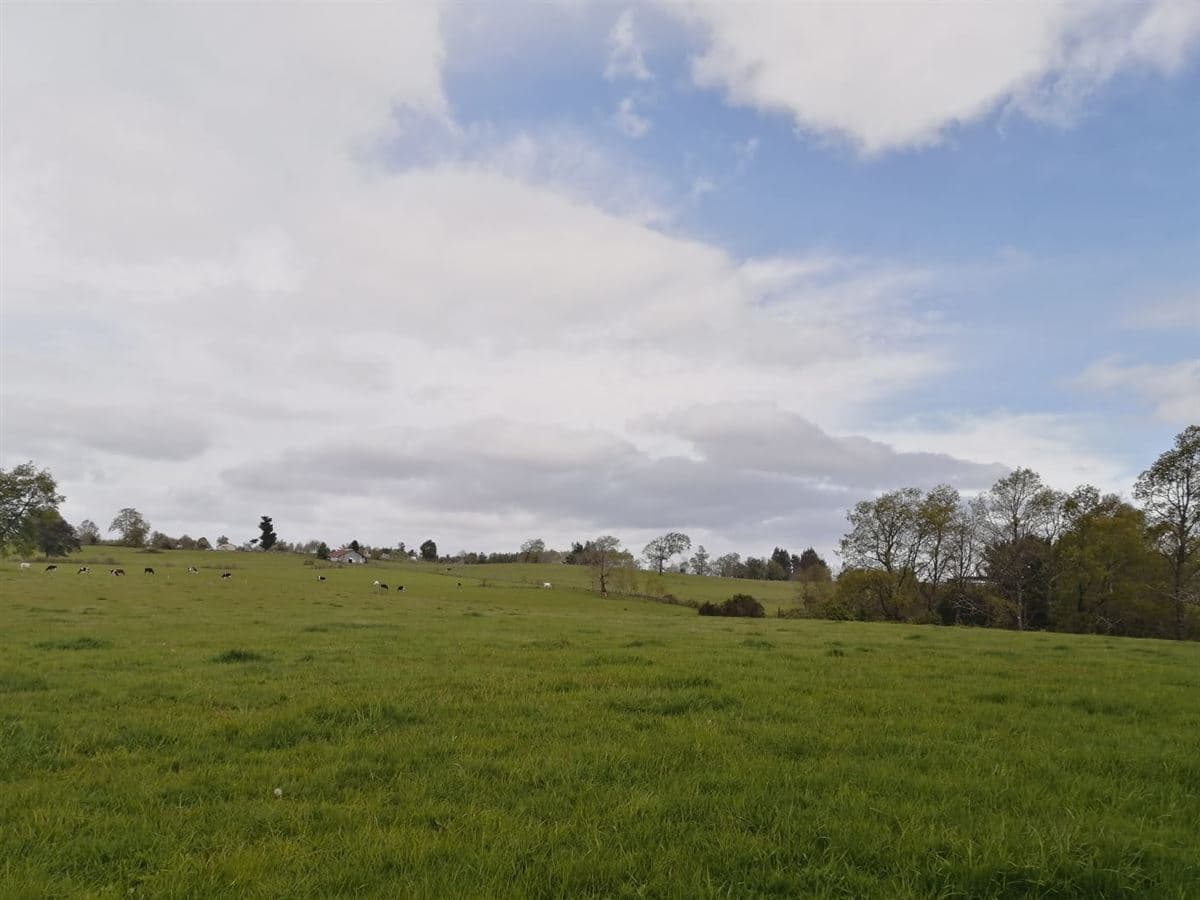 Campo Río Negro, Osorno