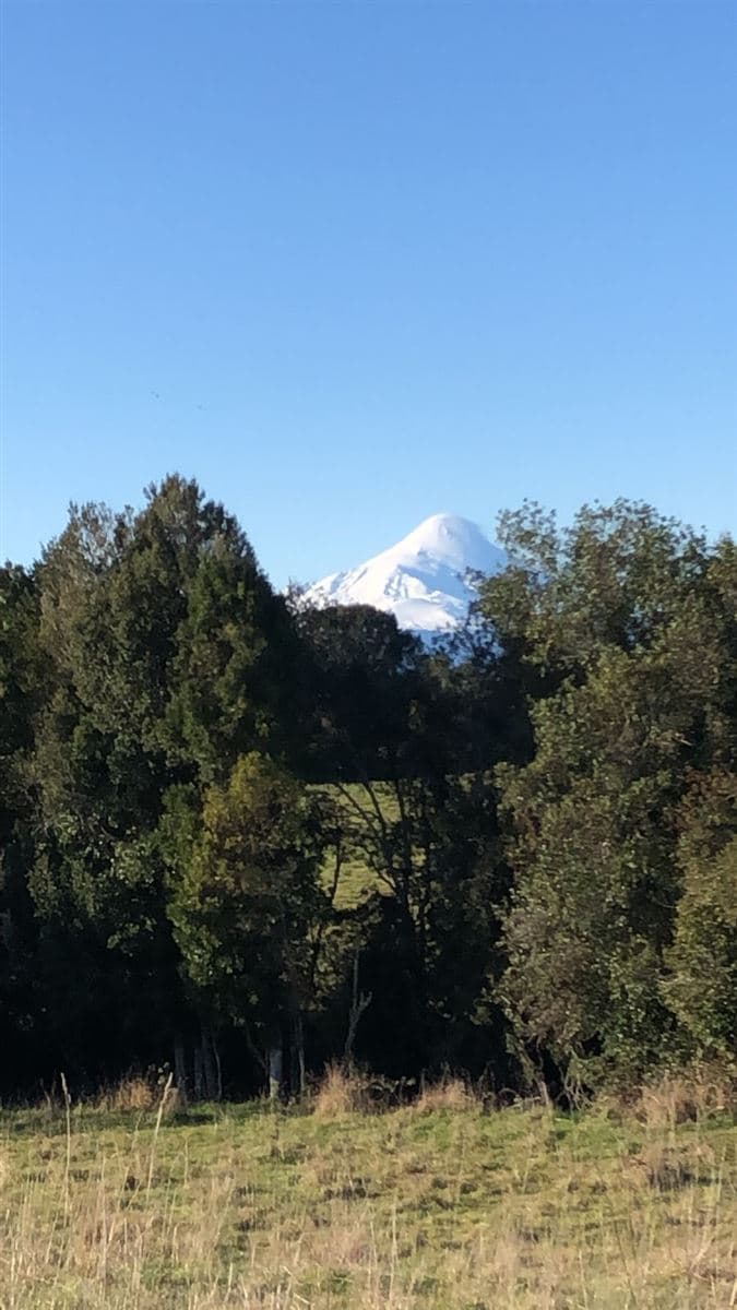 Tomar ruta 225 a Ensenada, doblar a la derecha en ruta V-605, km 2.0
