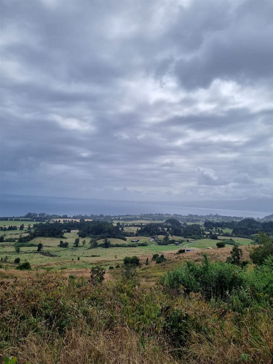 Campo Los Riscos