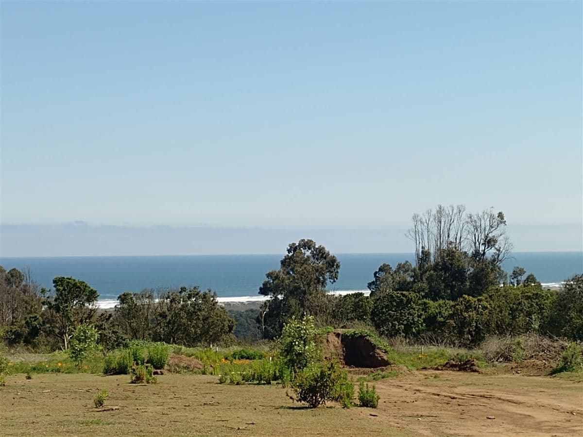 Ruta f30 E calle alfredo rosselot km 4