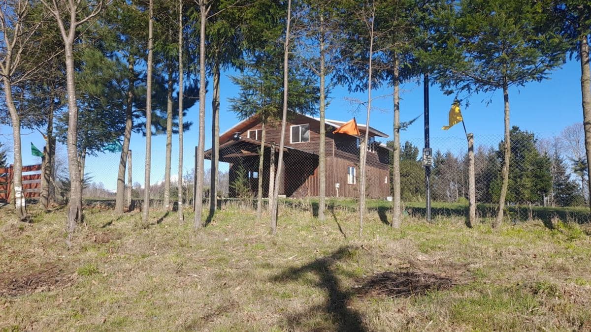 pedregoso - villarrica 