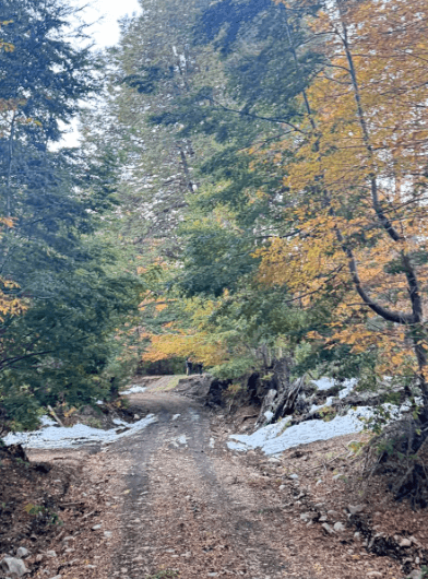 camino a rinconada currarehue 