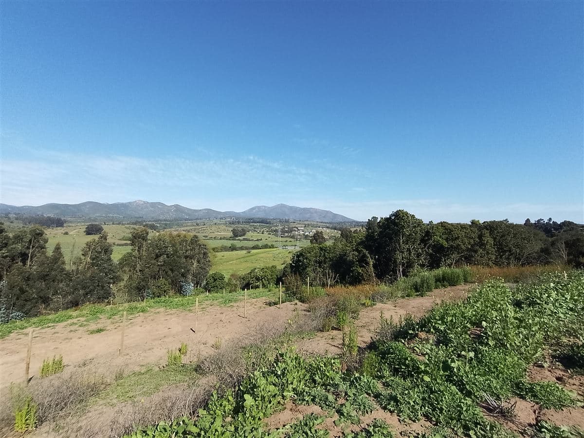 ruta f 30 e Campomar 4