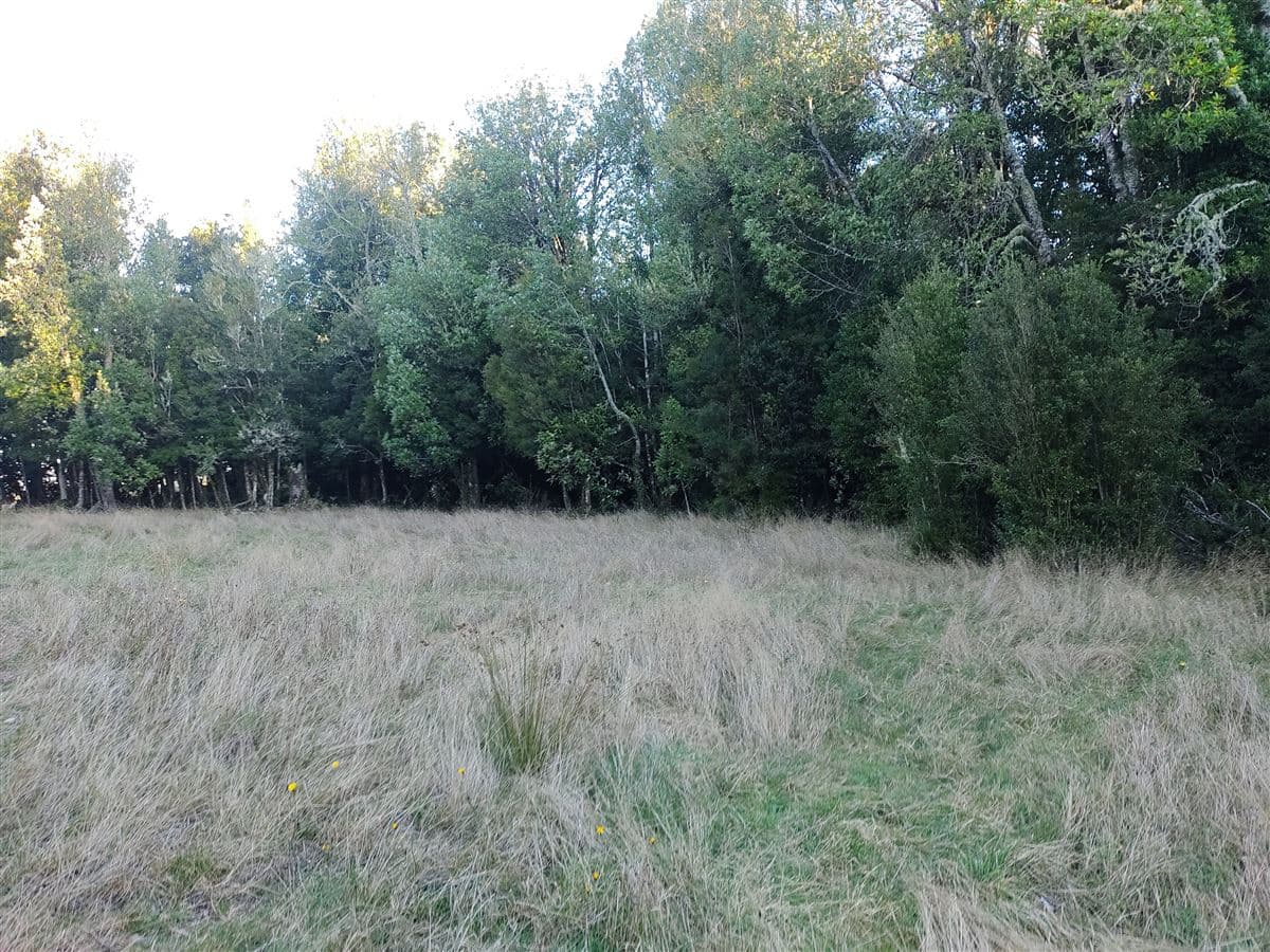 Sector rural Tehuaco, dalcahue