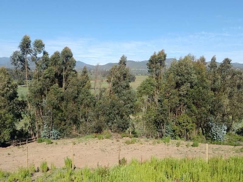 ruta f 30 e Campomar 4