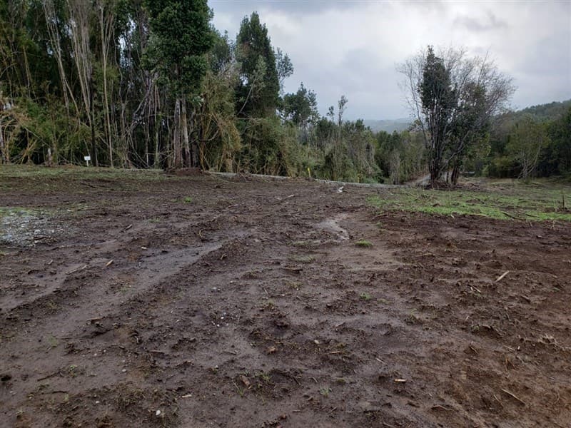 Camino W-25 Antoni - Palomar