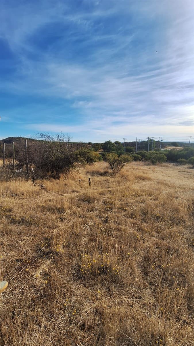 Camino Cerro de la Virgen 50 LT