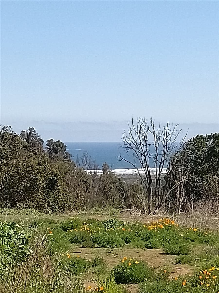 Ruta f30 E calle alfredo rosselot km 4