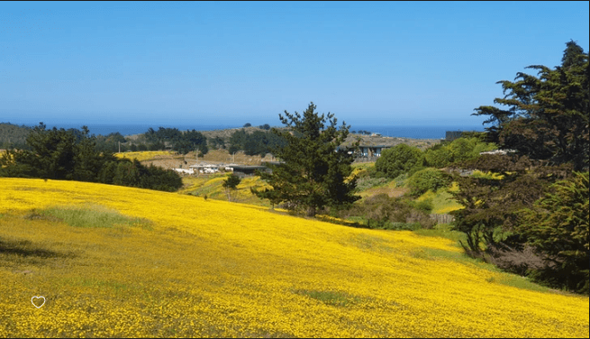 Camino Viejo a Punta de Lobos