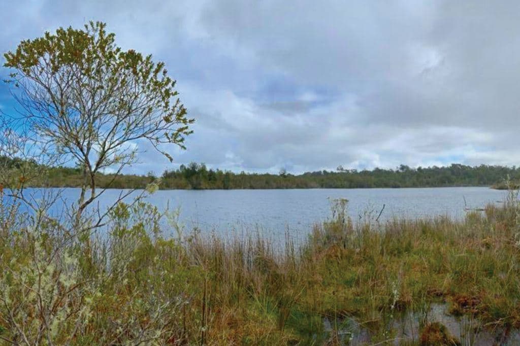 "LAGUNA QUEMCHI", Quemchi, Chiloé