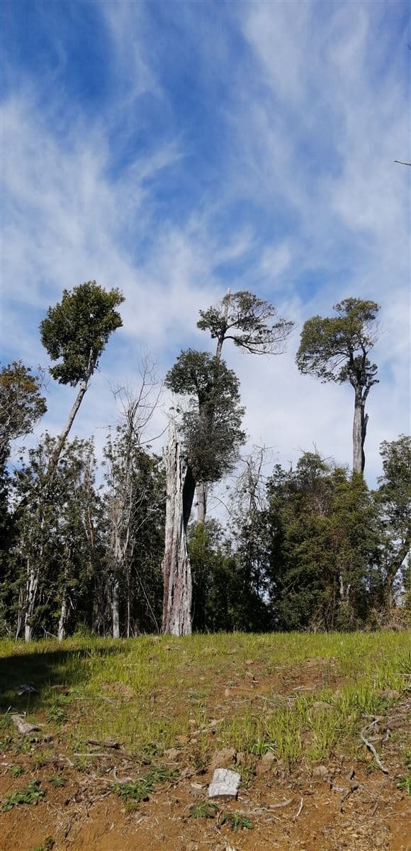 Hueyusca, pasado estero la Plata a la derecha
